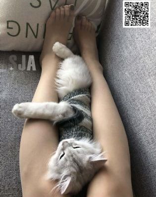 97人伦色伦成人免费视频嘿嘿_在线电影观看