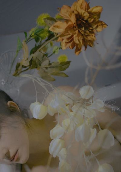 哥斯拉2帝国崛起免费观看高清_快播高清无删减WWW